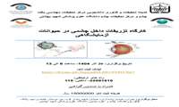 برگزاری کارگاه فوق‌تخصصی تزریقات داخل چشمی در موش آزمایشگاهی