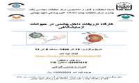 فراخوان برگزاری کارگاه فوق‌تخصصی تزریقات داخل چشمی در حیوانات آزمایشگاهی